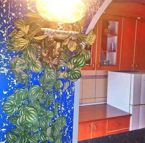 Garden Apartmán Bělehrad